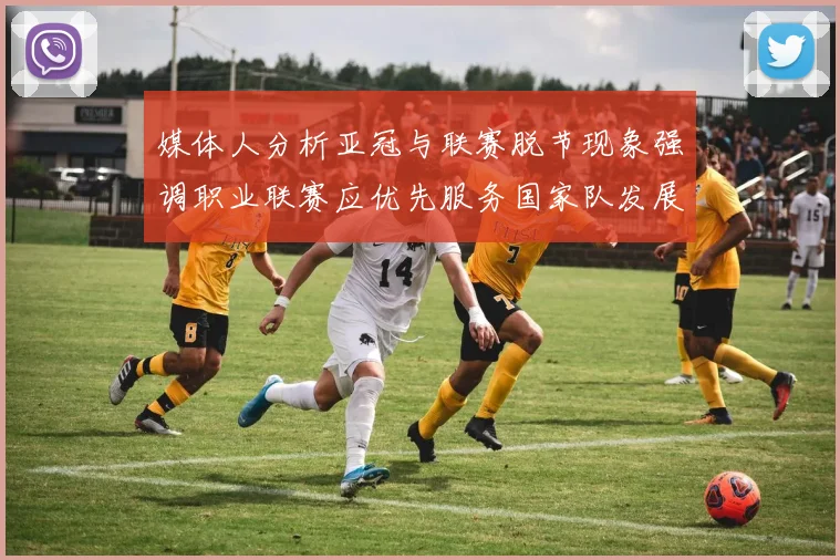 媒体人分析亚冠与联赛脱节现象强调职业联赛应优先服务国家队发展