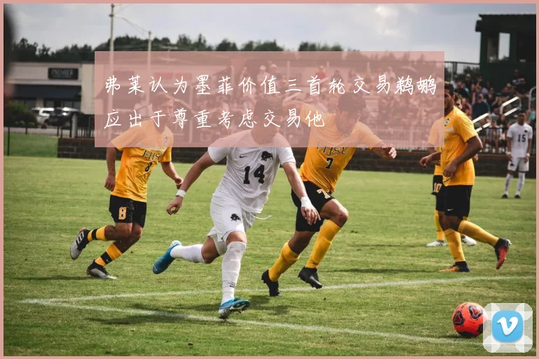 弗莱认为墨菲价值三首轮交易鹈鹕应出于尊重考虑交易他